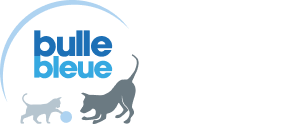 Bulle Bleue