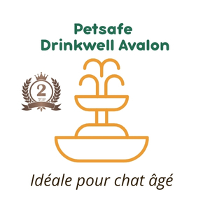 Fontaine en céramique Petsafe Drinkwell Avalon