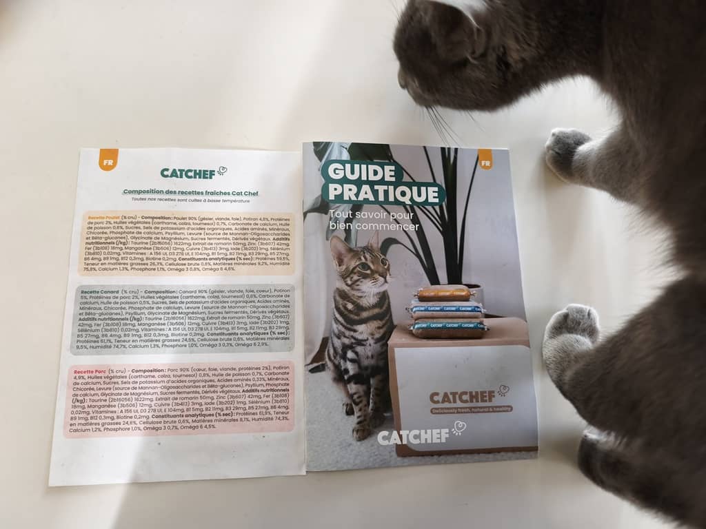 composition des recettes fraiches et guide pratique pour bien commencer Catchef